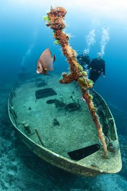Bahamas, Caribbean - shipwrecks